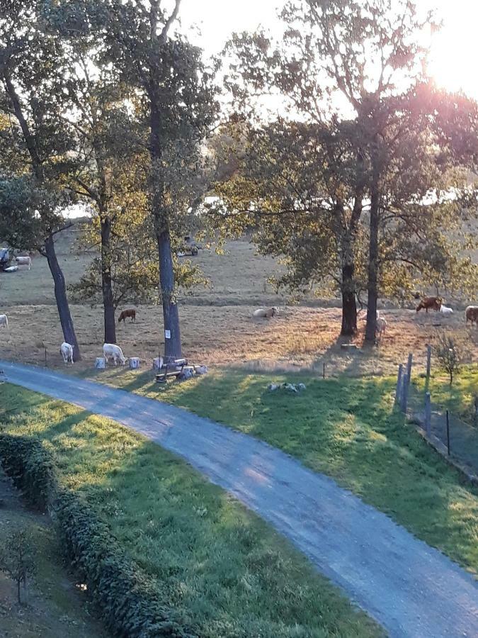 An Den Elbwiesen Gz Fewo Elbeblick Nur Nichtraucher Dommitzsch Exterior foto